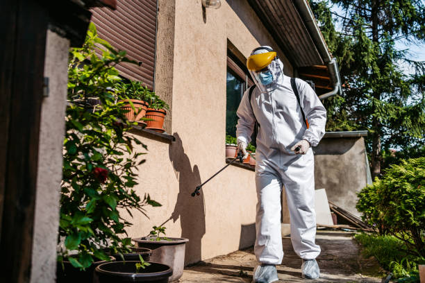 Best Rat Extermination Near Me  in Buxton, NC