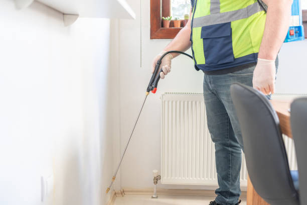 Best Pest Control Near Me  in Buxton, NC