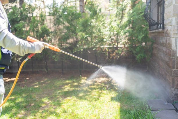 Best Residential Pest Control  in Buxton, NC