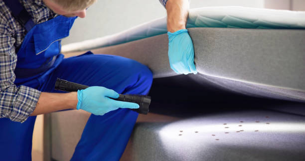 Best Pest Removal Services  in Buxton, NC